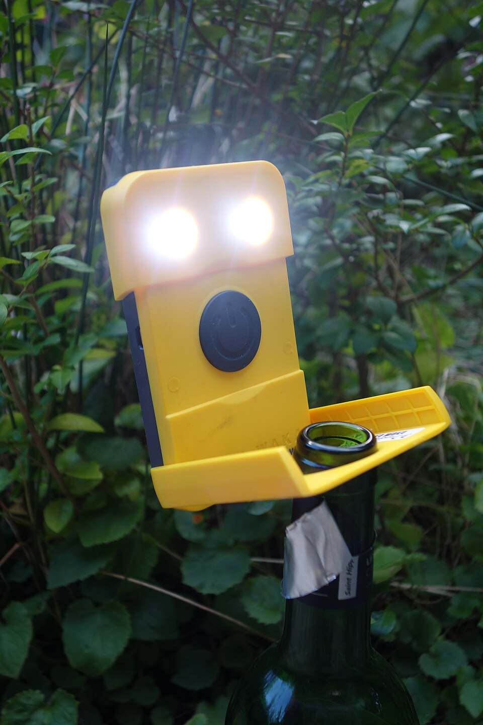WakaWaka2017.jpg